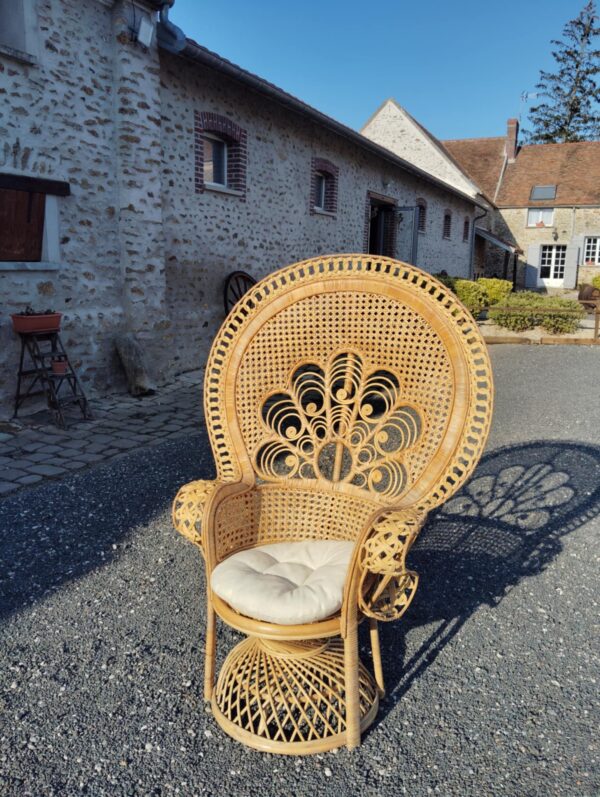 Fauteuil Emmanuel clair